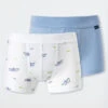 Schiesser Boxer Briefs 2-pack Fine Rib Organic Cotton Soft Waistband Paper Boats Fish Aqua/white - Rat Henry
