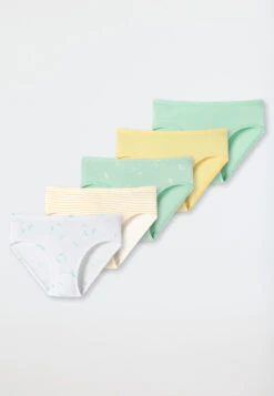 Schiesser Panties 5-pack Organic Cotton Soft Waistband Stripes Dragonflies Multicolor - Cat Zoe